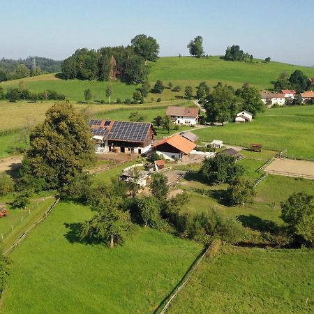 Carlo Apartment Wangen im Allgaeu Luaran gambar